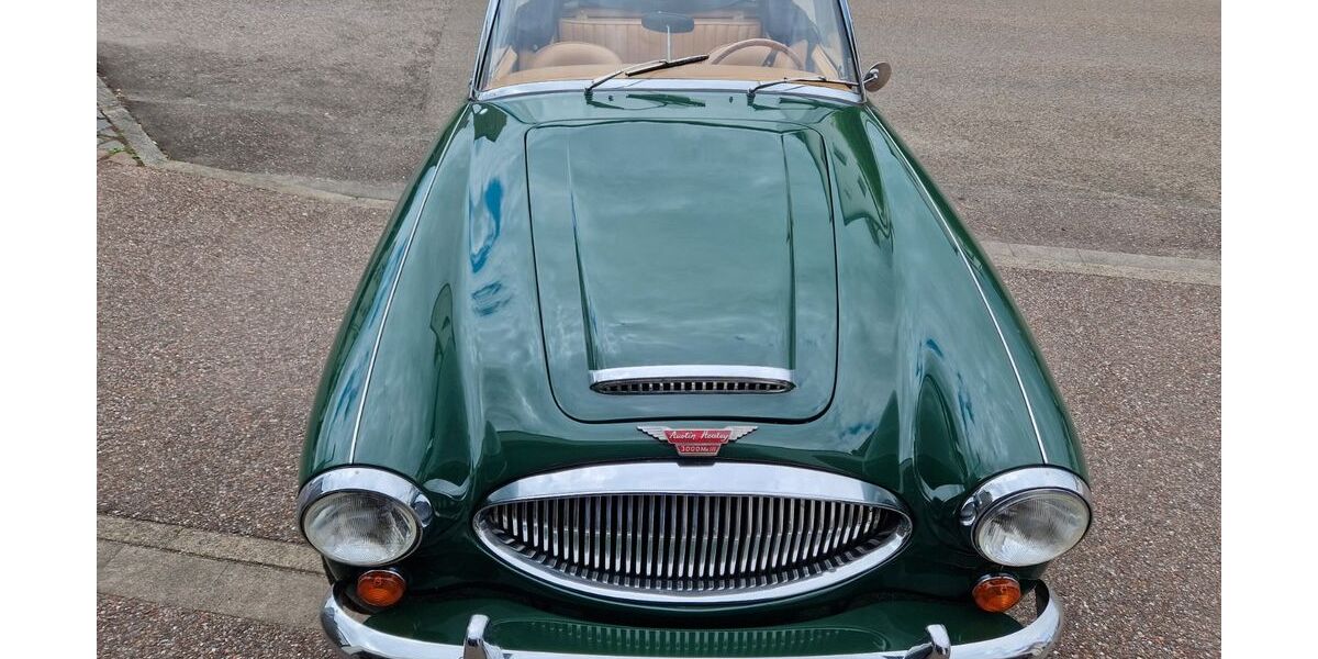 Austin Healey Andere 69.149 km 62.900 &euro; Wendlingen 73240