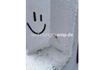 Etagenwohnung Stuttgart Stuttgart-West - 2 Zimmer, 65 m&sup2;, 350&euro; | Angebot:25856611