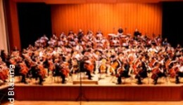Deutsches Cello-Orchester